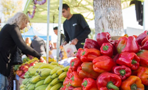 Dentro de alimentos, las frutas lideraron la suba.