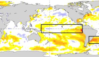 Estiman un 67% de probabilidad de ocurrencia de "El Niño"