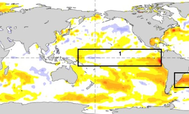 Estiman un 67% de probabilidad de ocurrencia de "El Niño"