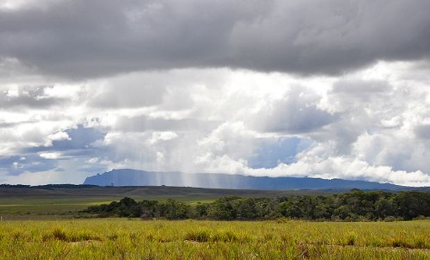 Las tendencias muestran para los próximos meses valores de probabilidad mayores para la ocurrencia de un evento El Niño en las próximas campañas agrícolas.