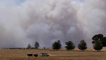 ¿Se viene El Niño 2026? Qué pasó históricamente con las lluvias cuando estuvo este fenómeno