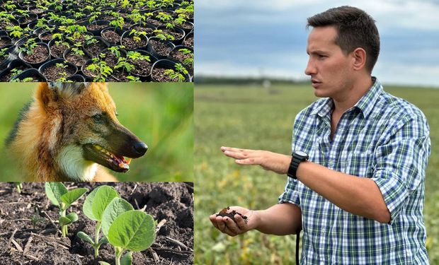 Cómo produce la estancia de 30.000 hectáreas que combina agricultura con área natural protegida: "Queremos que este rincón de Entre Ríos sea un ejemplo y un modelo replicable"