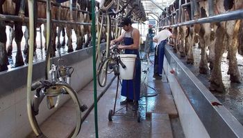 El sector lácteo pidió a Basterra eliminar las retenciones para evitar el derrumbe de la actividad
