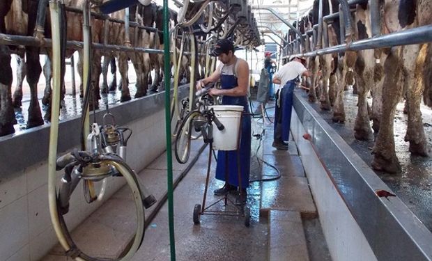 El sector lácteo pidió a Basterra eliminar las retenciones para evitar el derrumbe de la actividad