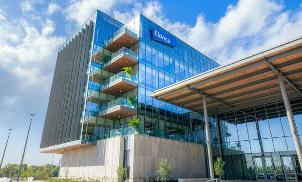 Elanco cresce 7% em 2025, fatura US$ 4,7 bilhões e projeta superar US$ 5 bilhões