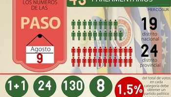 ¿Qué vota cada provincia en las PASO?