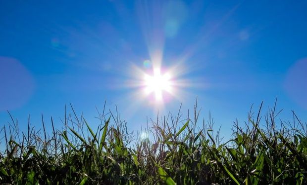 Clima: las temperaturas podrían superar valores normales del principio de verano