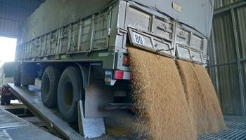 A un año de la eliminación del RUCA: cómo cambió el esquema y qué implica para los operadores