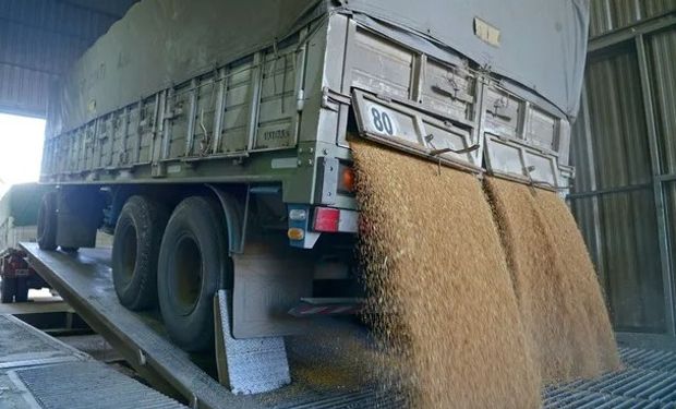 A un año de la eliminación del RUCA: cómo cambió el esquema y qué implica para los operadores