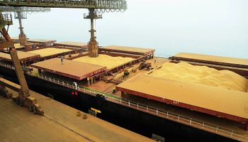 Brasil deve exportar 6,8 milhões de toneladas menos de soja em 2024