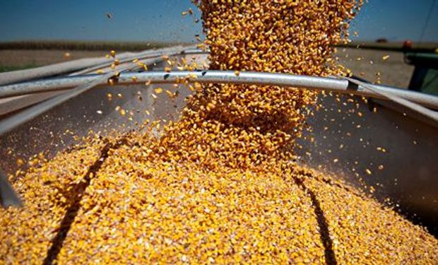 Brasil: no logra despegar la venta de maíz a China