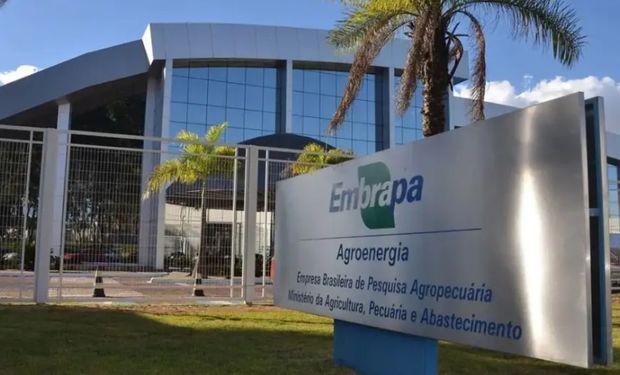 Embrapa sofre com déficit de R$ 200 milhões e projeta um 2025 ainda pior: “crise séria”