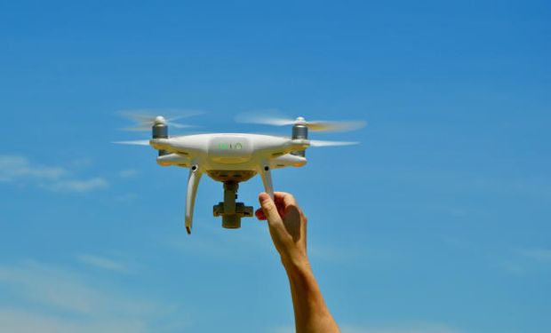 Embrapa estuda uso de drones no manejo de formigas cortadeiras