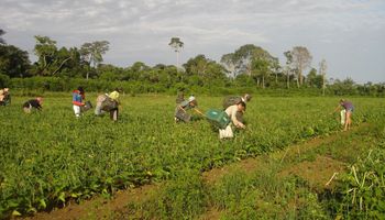 Lula relança Programa de Aquisição de Alimentos