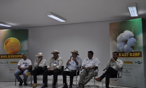 Bahia Farm Show: Embrapa lança novas cultivares de soja e algodão 
