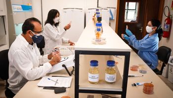 Bioinsumo da Embrapa para pastagens vence prêmio mundial
