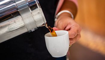 Nova metodologia acelera avaliação da qualidade do café por pequenos produtores