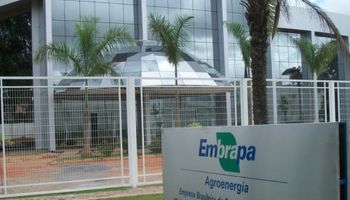 Governo libera R$ 2,5 milhões para a Embrapa realizar cinco novas pesquisas