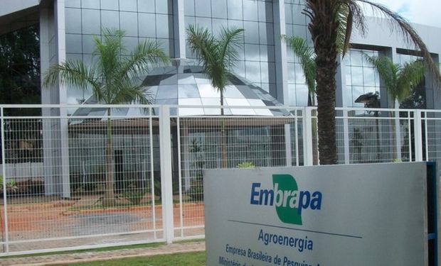 Governo libera R$ 2,5 milhões para a Embrapa realizar cinco novas pesquisas