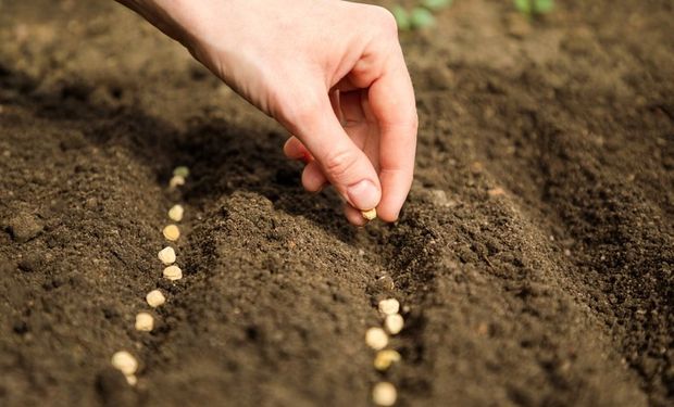 Zarc gerou economia de R$ 8,7 bilhões a agricultores em 2021