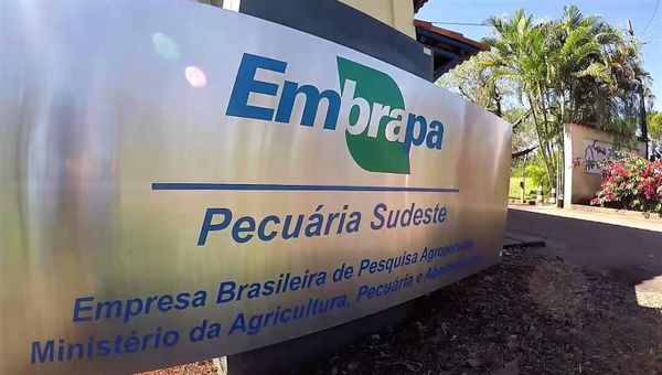 embrapa_concurso