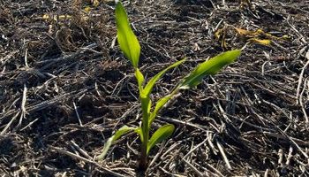 Avanza la creación de emergencia agropecuaria en 13 partidos de la provincia de Buenos Aires