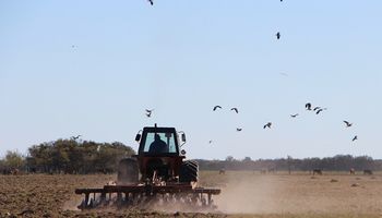 Santa Fe: extienden el plazo de la emergencia agropecuaria