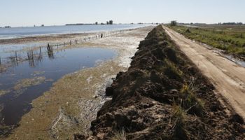 Se oficializó la emergencia agropecuaria para el oeste bonaerense