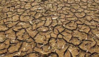Declaran la emergencia agropecuaria en Córdoba por sequía