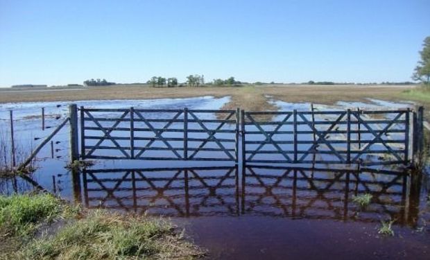 La cartera agroindustrial está trabajando en articulación con las provincias y municipios.