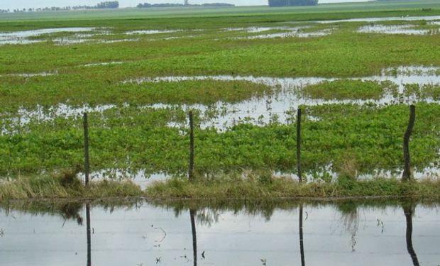 Productores de Entre Ríos, Formosa, Córdoba, Santa Fe, La Rioja, Corrientes y Chaco.