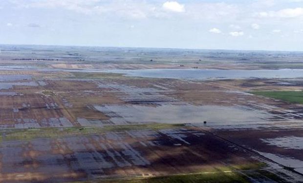 Declaran emergencia agropecuaria en tres provincias.