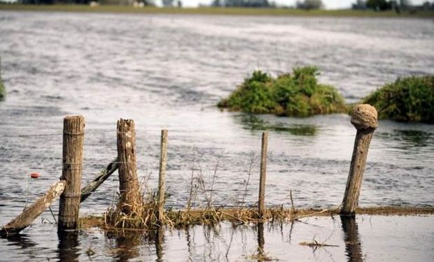 Simplifican trámites para productores en emergencia agropecuaria.