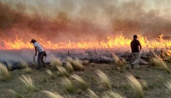 Agroindustria declaró la emergencia agropecuaria por incendios