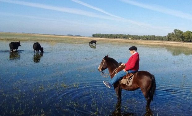 Emergencia agropecuaria para zonas de Córdoba y Chaco.