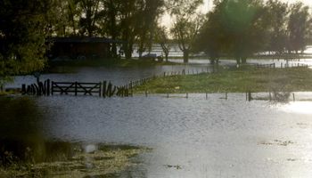 Amplían la emergencia agropecuaria en 5 provincias