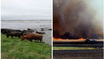 Agroindustria también declaró la emergencia en Córdoba, Santa Fe, Salta, La Pampa y Río Negro