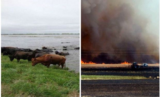 Agroindustria declaró la emergencia por diversos fenómenos.