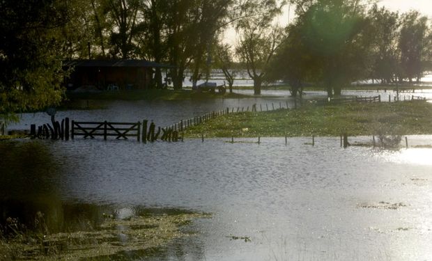 "El objetivo de este Ministerio es estar presente", dijo Buryaile.
