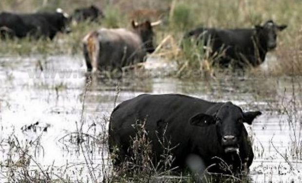 Es importante que los productores que se encuentren desarrollando actividades en la zona declarada presenten la documentación necesaria.