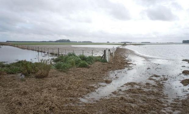 Mediante las resoluciones 21/2015 y 20/2015 se oficializó la declaración de emergencia agropecuaria.