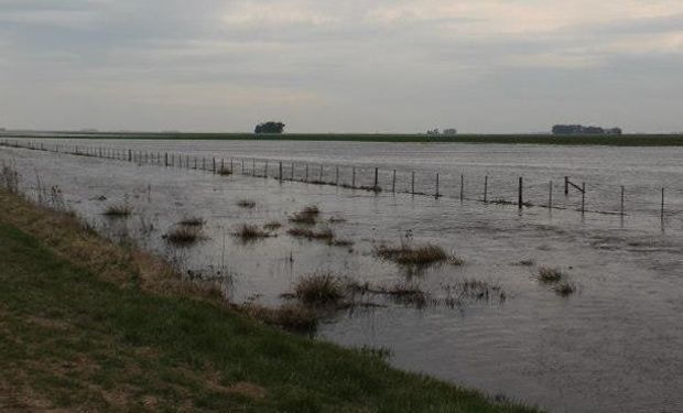 Declaran la emergencia agropecuaria en cinco provincias