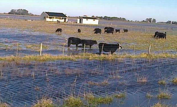 Crecientes fenómenos climáticos vienen afectando al campo.