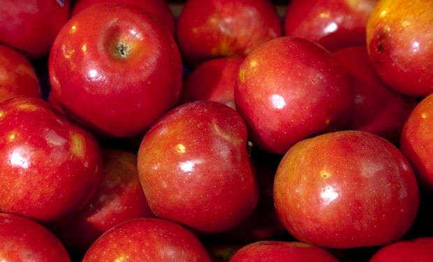 Asistencia a las principales producciones agropecuarias afectadas por desastres climáticos
