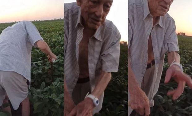 El rostro de la esperanza: la emoción viral de un abuelo de 95 años por la lluvia en el campo