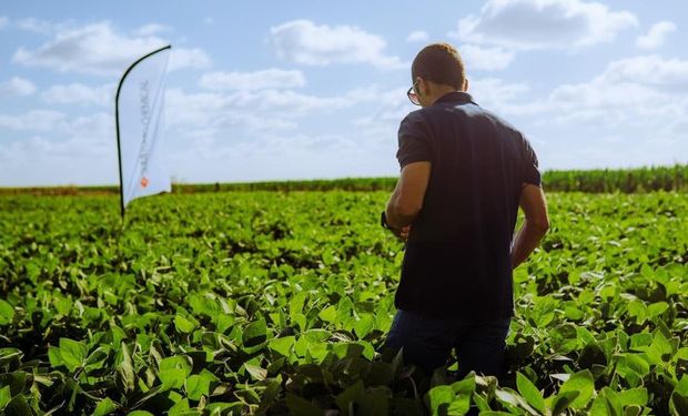 El novedoso herbicida que ya tiene registro de uso en Argentina: aseguran que es uno de los compuestos con el mayor potencial de crecimiento en el mercado de insumos