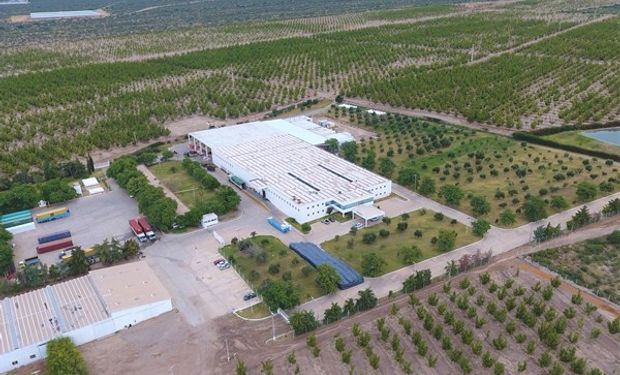 Excelencia agropecuaria: la empresa que crece desde 2004 y que ya le da trabajo a más de 500 personas en La Rioja