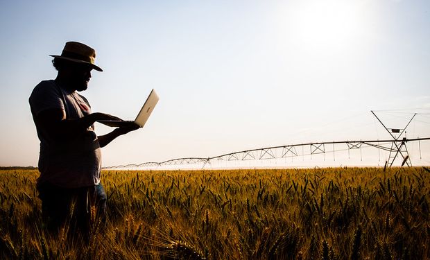 Em 2023, o agro tinha mais de 28 milhões de pessoas trabalhando no setor. (Foto: Wenderson Araujo/Trilux)