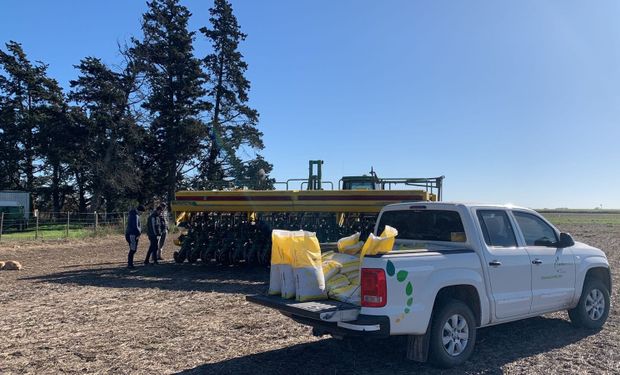 Bunge y Chevron compraron una empresa argentina que se especializa en un cultivo particular, pero con mucho potencial