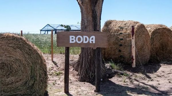 Empresa agropecuaria Los Martínez